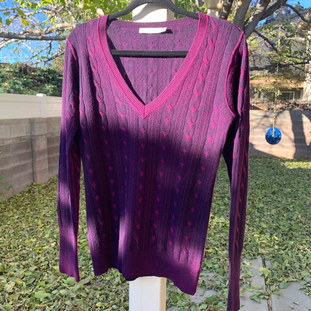Raffi Cashmere purple dyed 100% cashmere V neck sweater size L